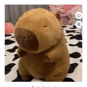 Capybara Plush Toy